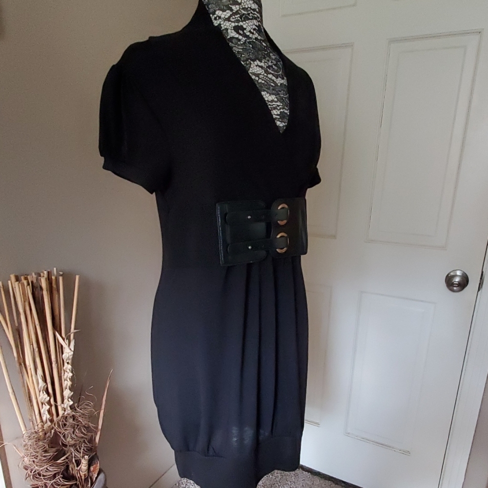 Rhapsody short sleeve sweater dress, size XL - Picture 2 of 7
